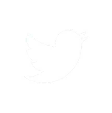 social media icon - twitter