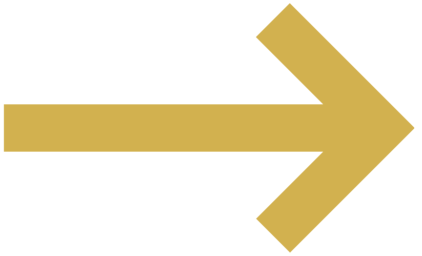 insurance arrow